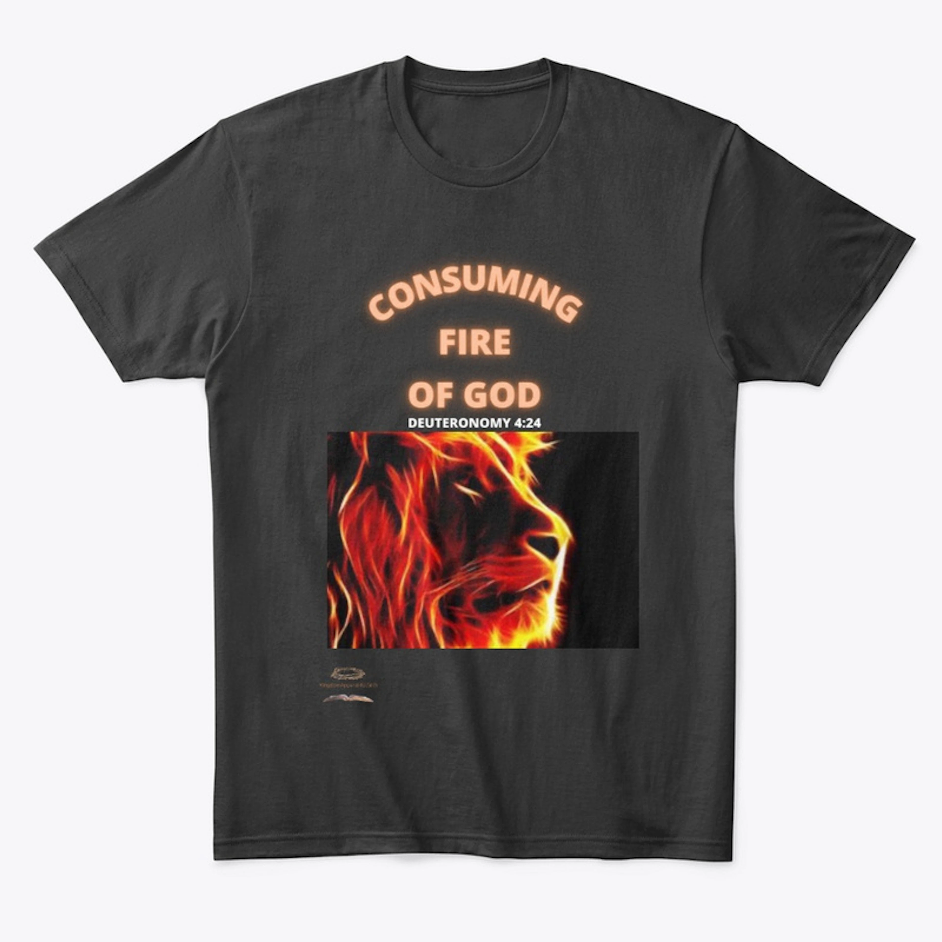 CONSUMING FIRE